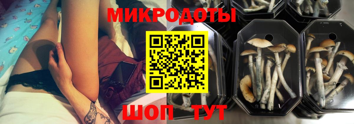 Псилоцибиновые грибы Psilocybe  Вход с VPN  Ялта  Псилоцибиновые грибы мухоморы 